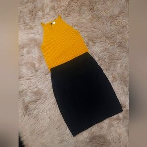 Express Black Pencil Skirt